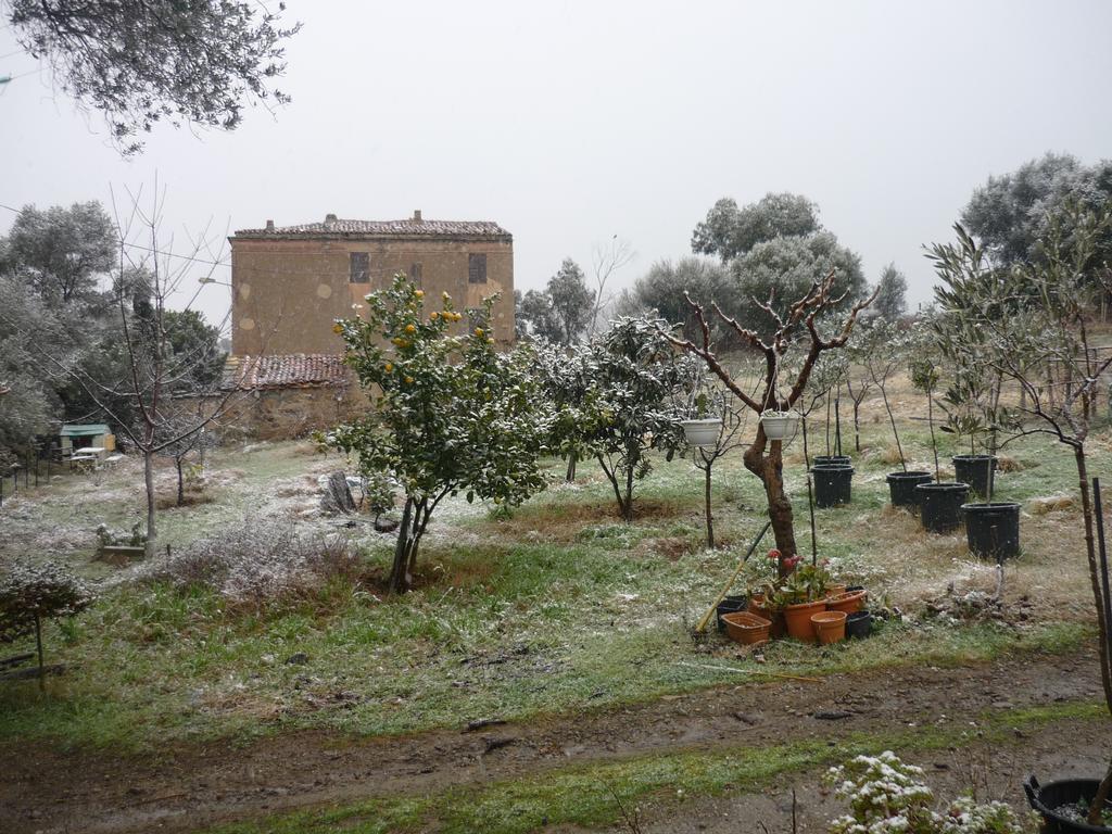 B&B Pietra-Monetta Pietra Moneta Exterior photo