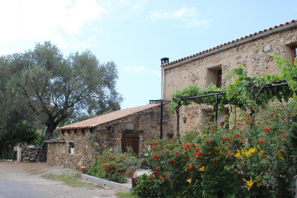 B&B Pietra-Monetta Pietra Moneta Exterior photo